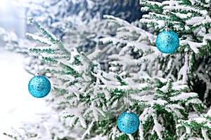 New Year`s decoration balls on a snowy branch. Christmas tree toy on the branches of spruce covered with snow. Blue shiny balloon