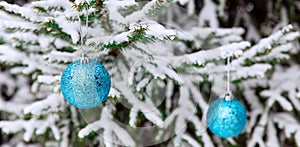 New Year`s decoration balls on a snowy branch. Christmas tree toy on the branches of spruce covered with snow. Blue shiny balloon