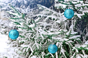 New Year`s decoration balls on a snowy branch. Christmas tree toy on the branches of spruce covered with snow. Blue shiny balloon