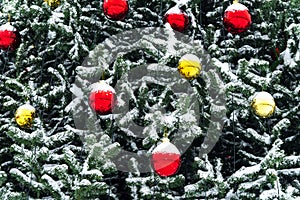 New Year\'s decoration balls on a snowy branch. Christmas tree toy on the branches of spruce covered with snow. Blue shiny balloon
