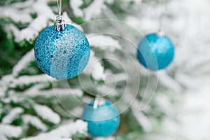 New Year`s decoration balls on a snowy branch. Christmas tree toys on the branches of spruce covered with snow. Blue