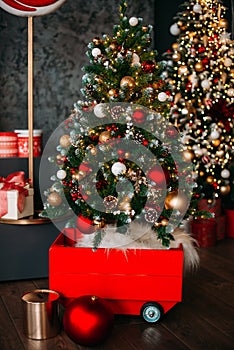 New Year`s decorations. Christmas tree decorated with red and gold balls, fir cones, standing in a red cart with small wheels,.