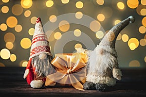 New Year's gnomes with a gift