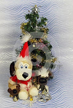 New Year`s photo card with Santa Claus and cute dogs