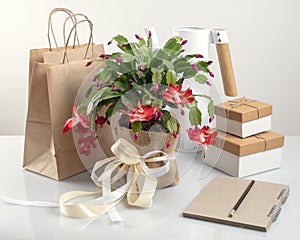 New year`s set zero West, blooming zygocactus gift boxes, Notepad and paper bag