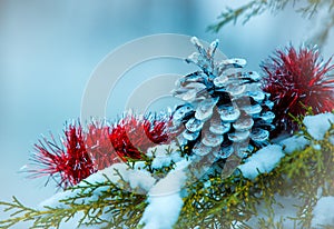 New Year`s spruce cone on a snow-covered branch of a juniper. Selective focus