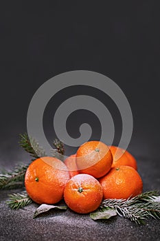 New Year's still life on a black background with tangerines, fir branches and snow. Christmas card with place for
