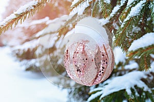 New Year\'s toy in the snow hanging on the Christmas tree