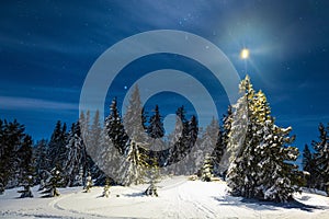 New Year's trail from a star in the night sky as a background for snow-covered trees in a beautiful valley