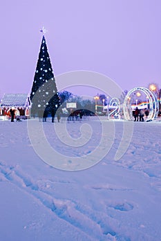 New Year`s tree in Gomel in the evening