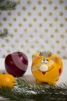 New Year`s yellow pig on a New Year`s background.