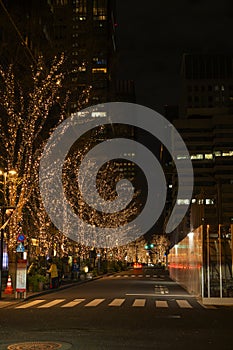 New year street lighting at Marunouchi Japan. Illumination on streets of Marunouchi, Japan