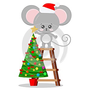 New year symbol cartoon character cute mouse in christmas hat puts star on a top of christmas tree isolated on white