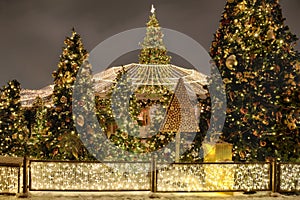 New Year Trees with Canopy of Lights at Manezhnaya Square at Night