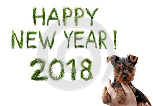 2018 New Year. Two thousand eighteen. Happy New Year greetings. Cute little puppy in female hands. Words are made of a pine tree