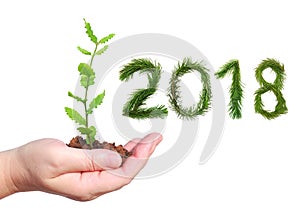 2018 New Year. Two thousand eighteen. Woman hand holding a young green seedling. Letters and numbers are made of a pine tree branc