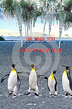 New Year Wish, Four Singing Penguins Wishing Happy New Year. Concept of Beeing Together Brings Happiness