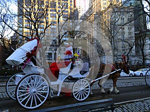 New Year in New York. Santa Claus on horse-drawn carriage near Central Park.