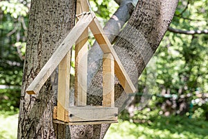 New yellow bird and squirrel feeder house from plywood is hanging on a brown tree in a park in summer