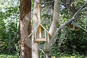 New yellow bird and squirrel feeder house from plywood is hanging on a brown tree in a park in summer