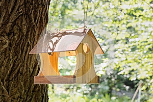 New yellow bird and squirrel feeder house from plywood is hanging on a brown tree in a park in summer