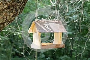 New yellow bird and squirrel feeder house from plywood is hanging on a brown tree in a park in summer