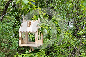 New yellow bird and squirrel feeder house from plywood is hanging on a green tree in a park in summer