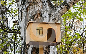 A new yellow bird and squirrel feeder house from plywood is hanging on a white old birch tree