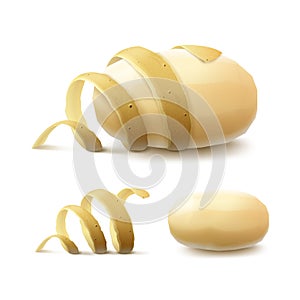 New Yellow Raw Whole Peeled Potato with twisted peel Isolated