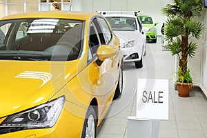 New yellow, white and green shining cars stand near palm tree