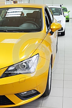 New yellow, white and green shining cars stand in office