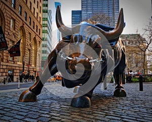 NEW YORK, APR 24, 2015: Wall street bull on Broadway street. Close up view of aggressive bull with nose steam smoke. NYC New York