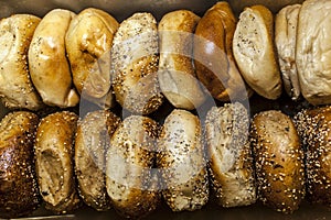 New York Bagels photo