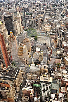 New York bird view