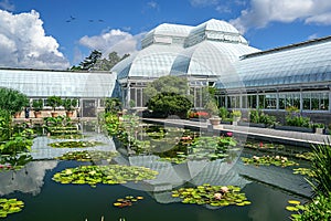 The New York Botanical Garden