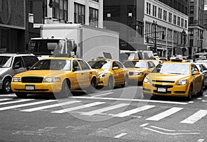 New York Cabs photo