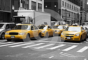 New York Cabs