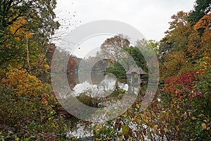 New York Central Park Lake Autumn with Skyline