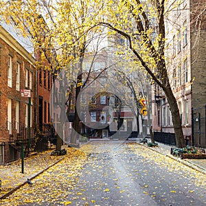 New York City block in the Greenwich Village neighborhood of NYC