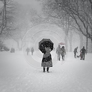 New York City, 1/23/16: Central Park covered in heavy snow during Winter Storm Jonas
