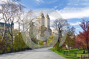 New York City - Central Park Trail in Spring