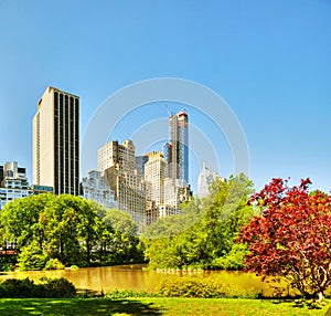 New York City cityscape on a sunny day