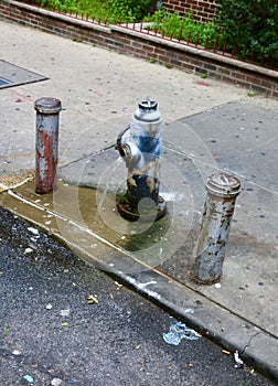 New York City fire hydrants. photo