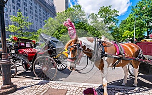 NEW YORK CITY - JUNE 2013: Horse carriage along 59st. The city a