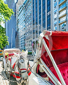 NEW YORK CITY - JUNE 2013: Horse carriage awaits customers on 59st. It is a very popular attraction between tourists