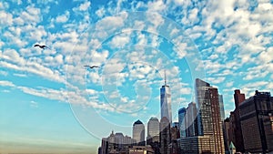 New York City Manhattan skyline seagulls sunset sunrise