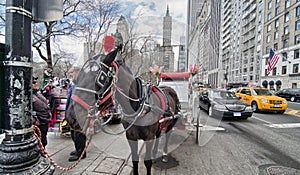 NEW YORK CITY - MAR 11: Carriage awaits customers at Central Par