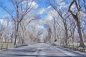 New York City park empty in the morning