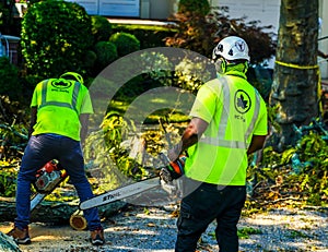 New York City Parks crew works to remove a fallen tree and clears street the aftermath of severe weather after storm Isaias