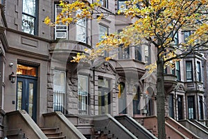 New York City residential street with brownstone buildings